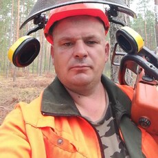 Давидик