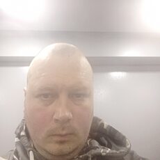Лев