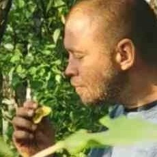 Давидик
