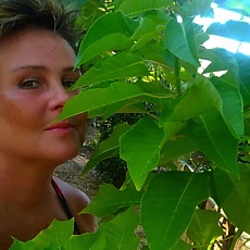 Лина