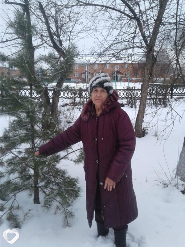 Роза