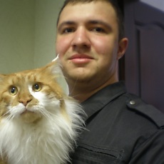 Тим