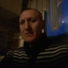 Альбик