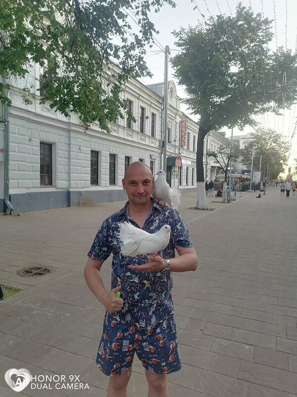 Гаврик