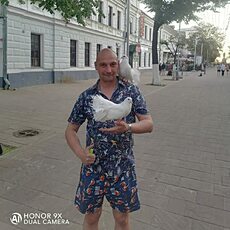 Гаврик