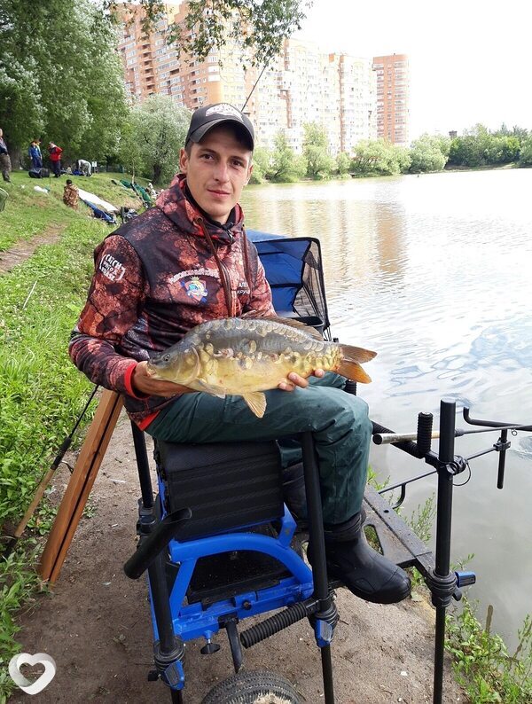 Давидик