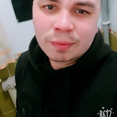 Платоша