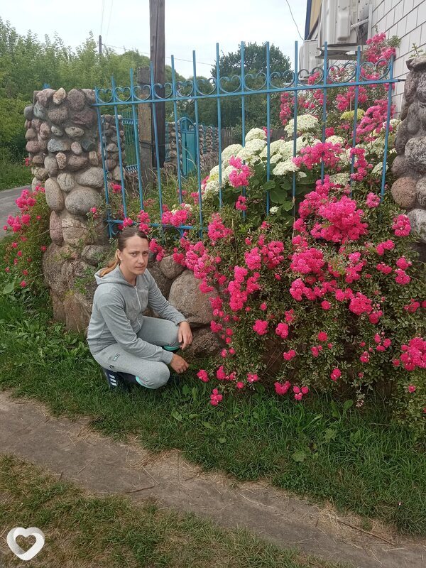 Алиса