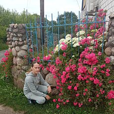Алиса