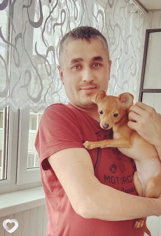 Нестор