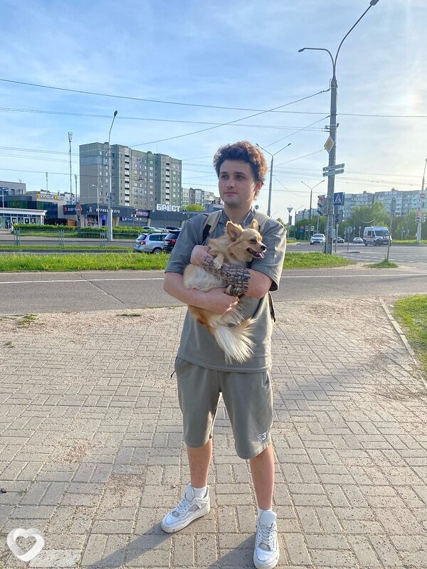 Платоша