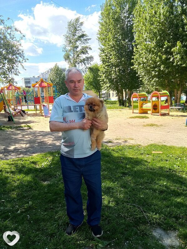 Гена
