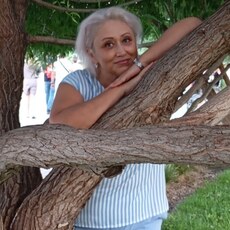 Васса