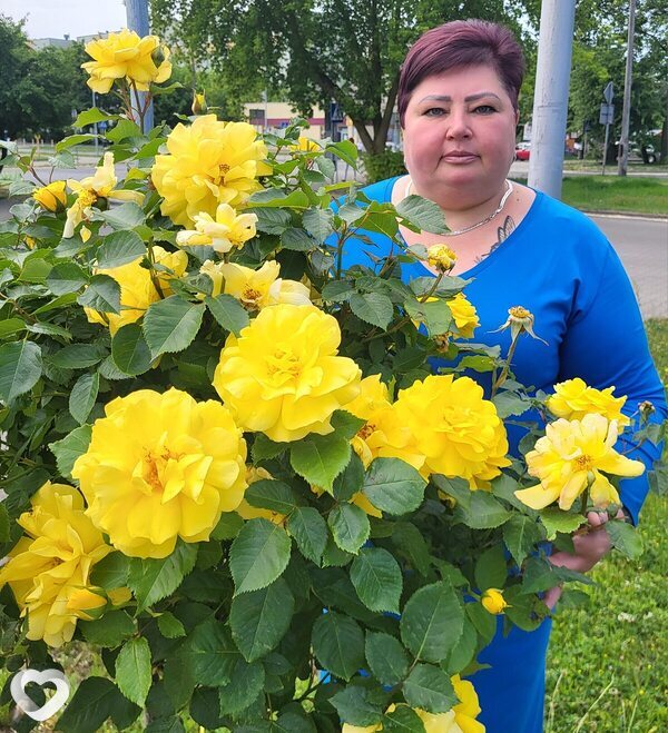 Элина