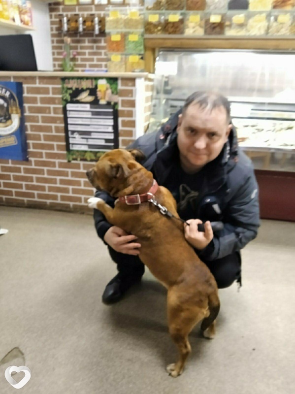 Арсений
