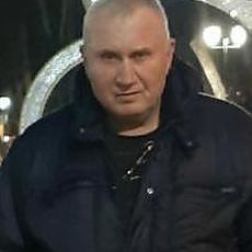 Лев