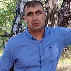 Нестор