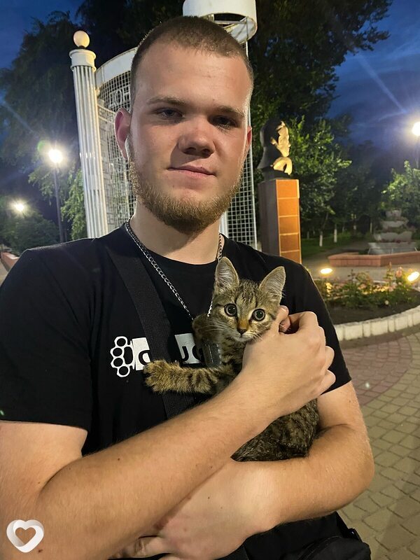 Платоша