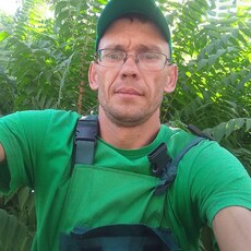 Альбик