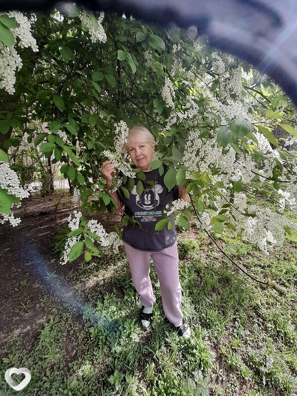 Снежа