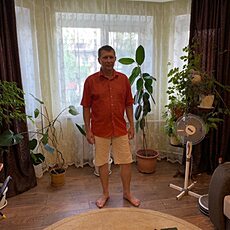 Нестор