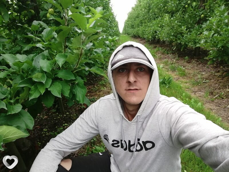 Гоша