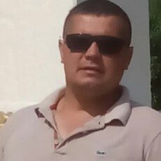 Тим