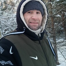 Лев