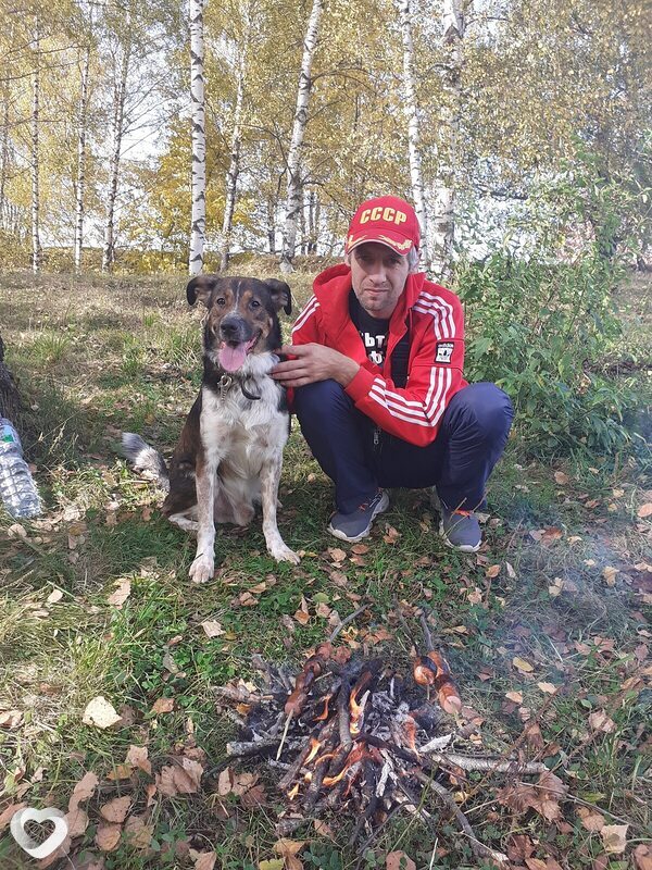 Давид