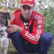 Давид