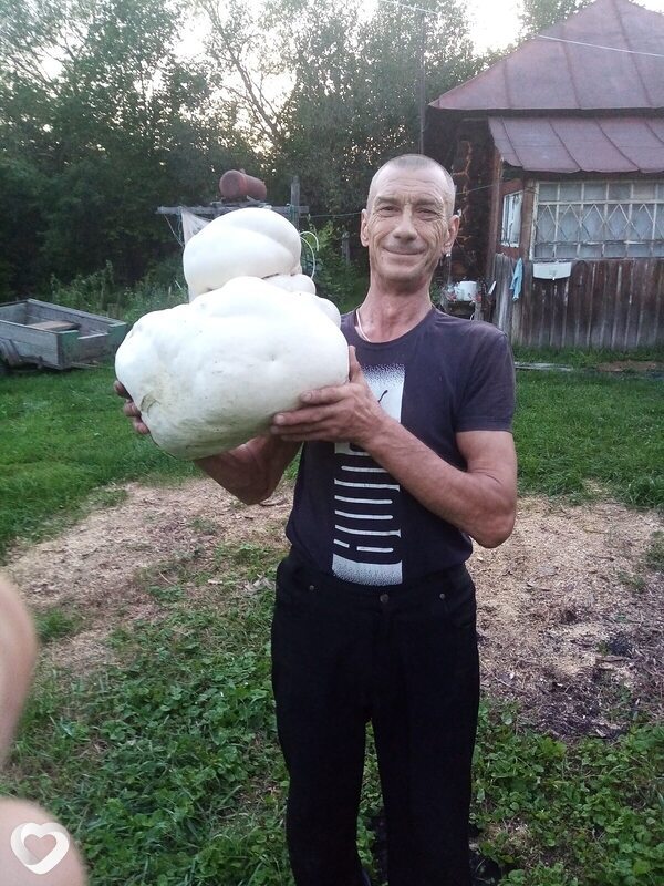 Костя