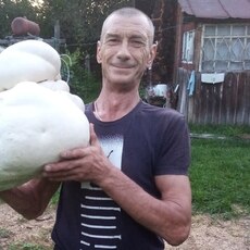 Гоша
