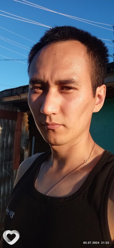 Альбик