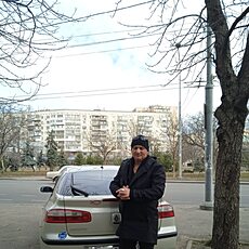 Гаврик