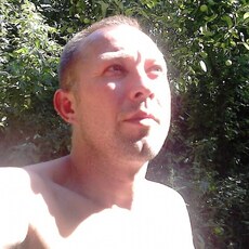 Альбик