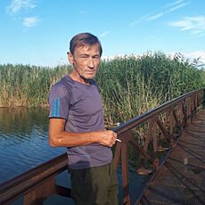 Тарас