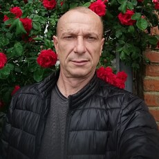 Нестор