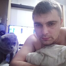 Лев