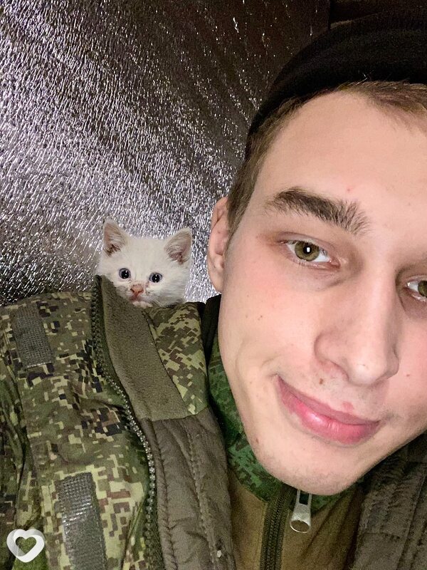 Сева