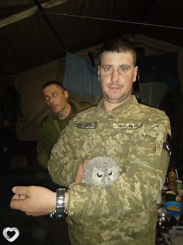 Роман