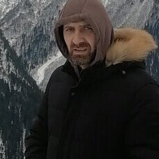 Тим
