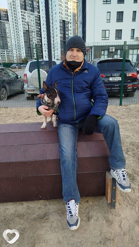 Аркадий