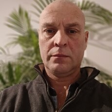 Миша