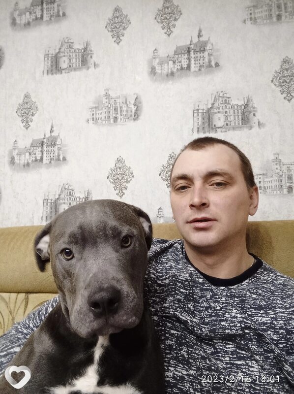 Богдан