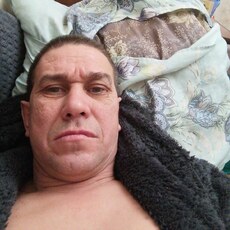 Давидик