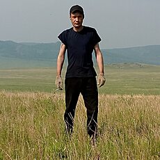 Стёпа