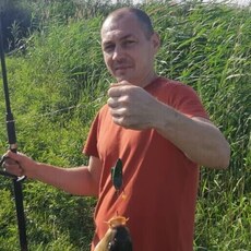 Давидик