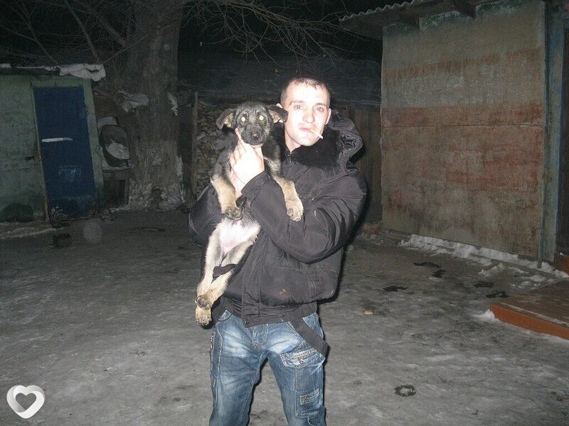Радомир