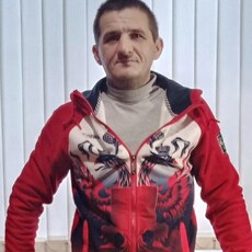 Лев
