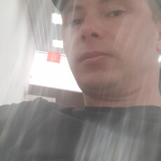 Давид